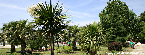 Main photo