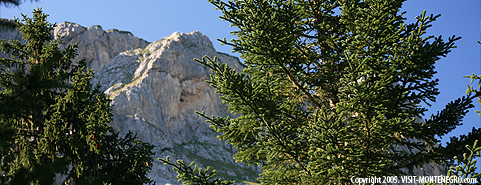 Main photo