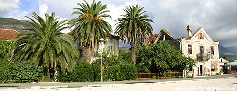 Main photo