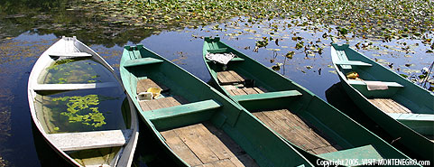 Main photo